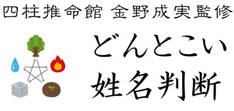 人格 外格|外格（外運）の意味と計算法：社会生活と人間関係を表す画数